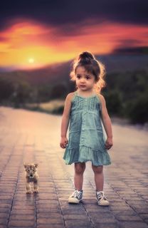 混血小萌娃图片