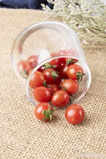 新鲜西红柿图片