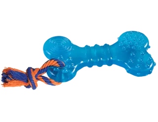 塑料骨头钥匙扣