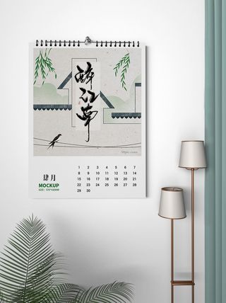 中国风国潮新春春节包装样机模板