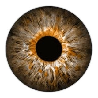 眼睛 PNG免抠(320x320)