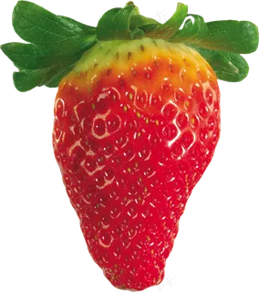 草莓特写 红色草莓 新鲜草莓