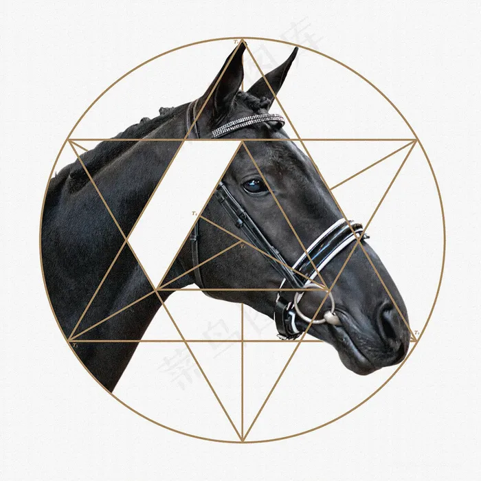 现代几何马艺术装饰画