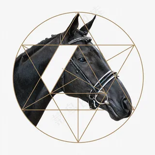现代几何马艺术装饰画