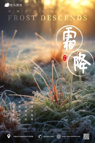 草地 结霜  小清新   霜降节气海报