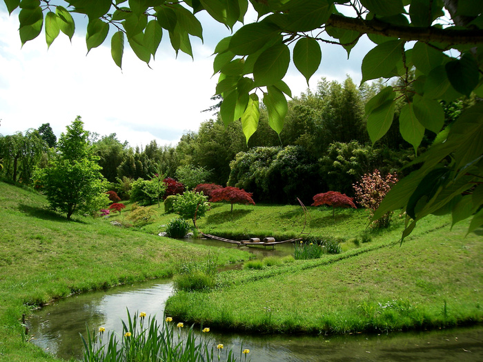 高清草原草地