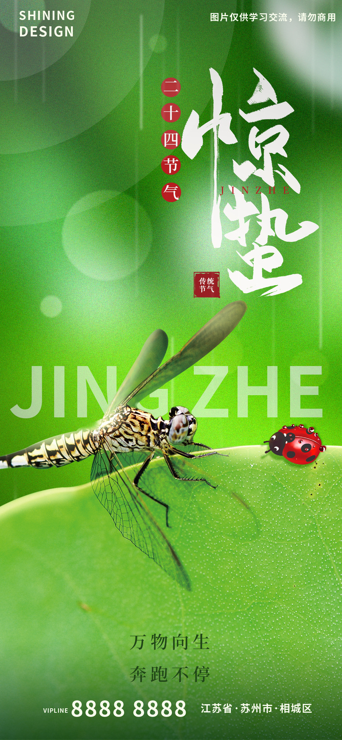 春天万物复苏蜻蜓惊蛰节气习俗海报