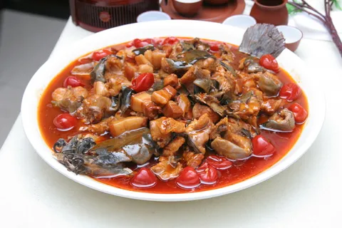 大肉鲶鱼32元 (5)