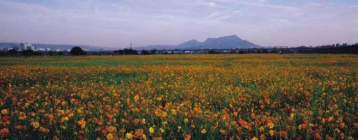 J147-67-大幅风景61