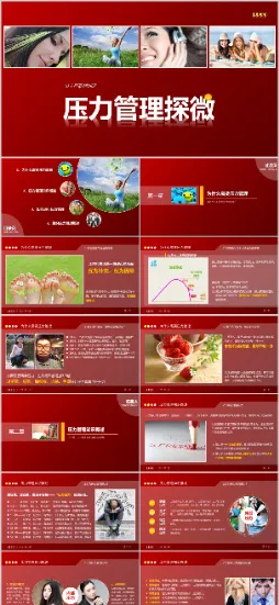 人力资源培训-压力管理探微 PPT模板预览图