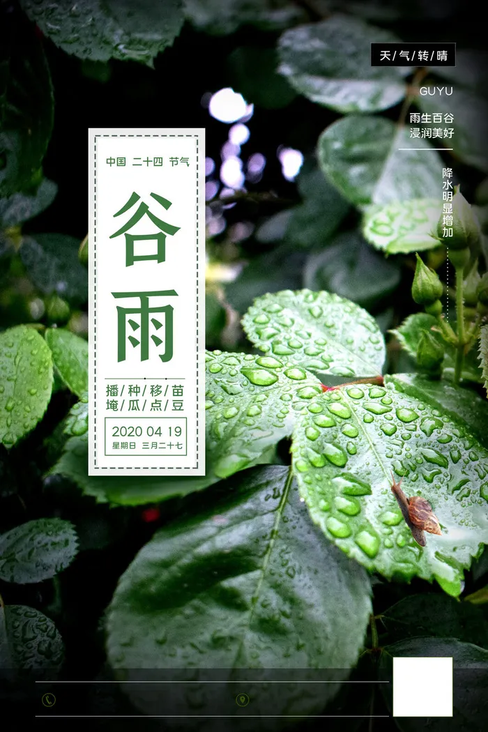 谷雨二十四节气海报设计psd模版下载
