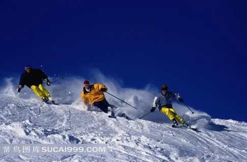 从雪山上滑下来的朋友们