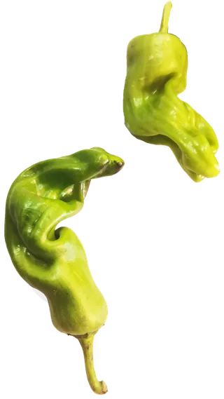 新鲜海椒农家有机田园清新色调青椒螺丝椒线椒菜椒辣椒免抠元素实物摄影素材