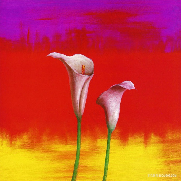 马蒂莲艺术插画油画