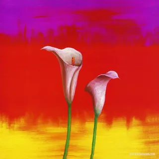 马蒂莲艺术插画油画