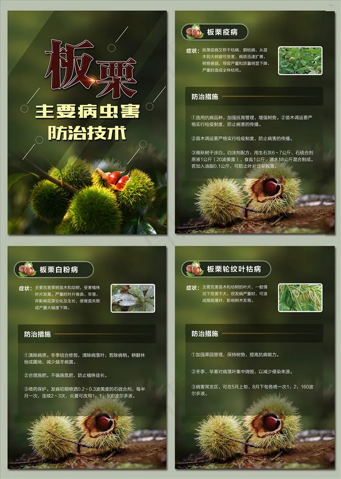 板栗主要病虫害防治技术海报图片(3937×5512像素(200dpi))psd模版下载