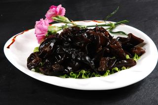 蘑菇香菇金针菇杂菇菌类美食素菜