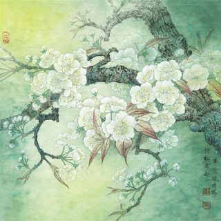 梨花小品写意画