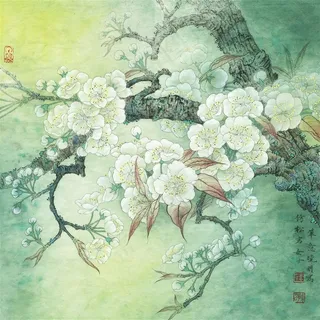 梨花小品写意画 梨花小品写意画