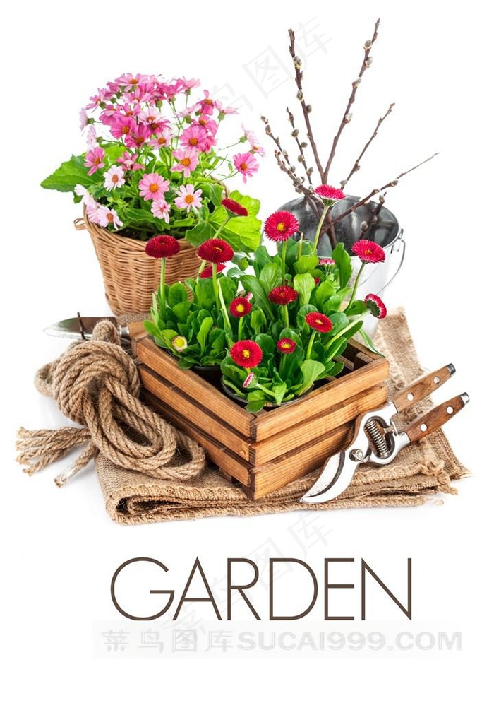 花朵与园艺工具素材大图