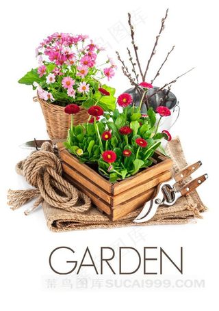 花朵与园艺工具素材大图