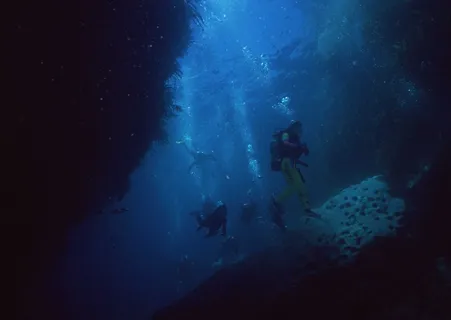 海底世界 45 海底世界 45