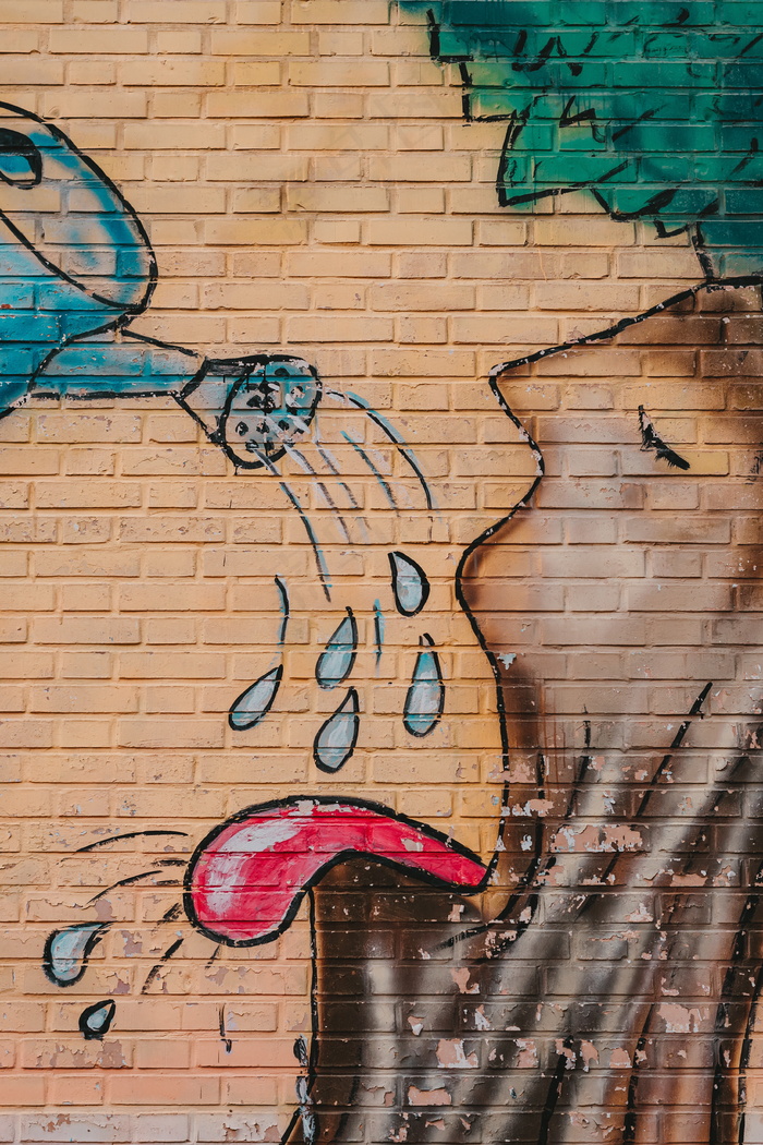 墙壁艺术彩绘图片