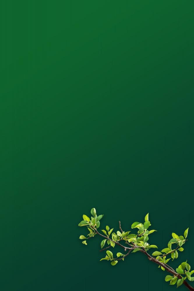 简约墨绿色树枝背景(2000x3000)psd模版下载