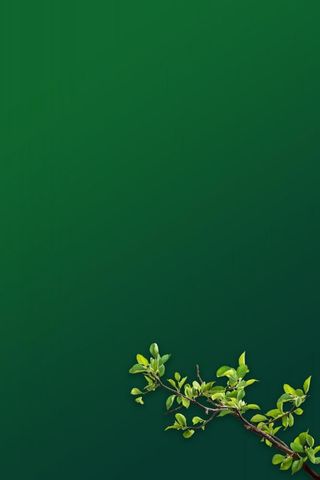 简约墨绿色树枝背景