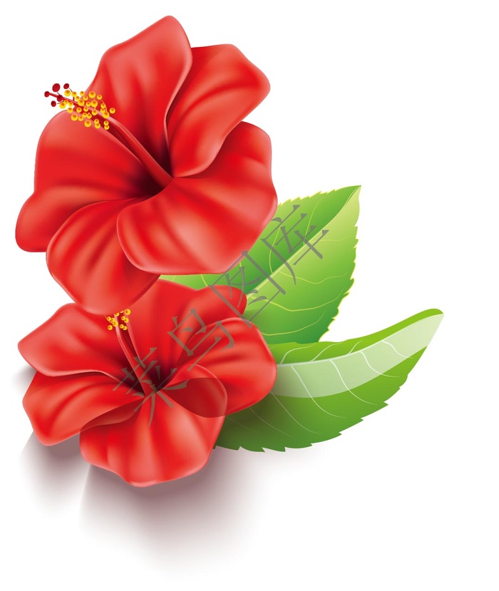 红色花朵，红花矢量图ai矢量模版下载