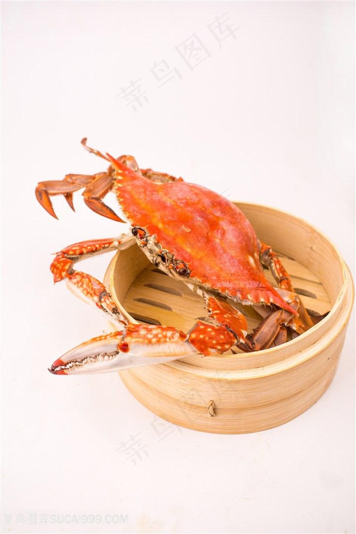 大闸蟹摄影图片海鲜图片