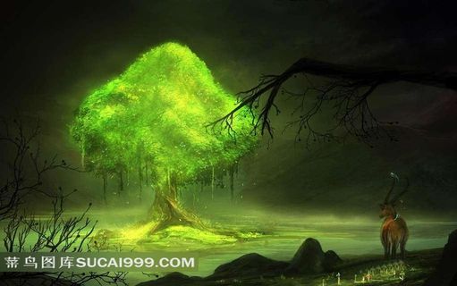 黑暗中一颗发光的树