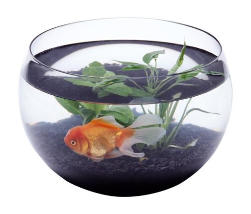 水族馆 PNG免抠