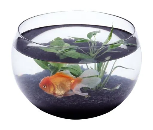 水族馆 PNG免抠(1050x900)