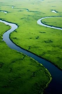 农田河流绿色背景 农田河流绿色背景