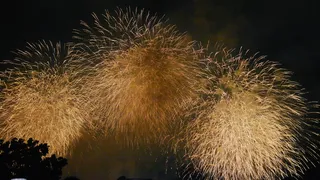 唯美烟花绽放火花庆典