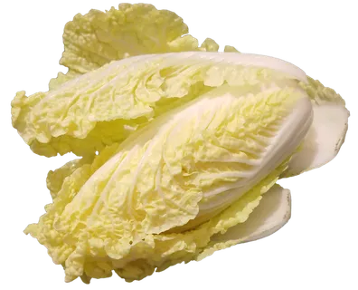 娃娃菜免抠摄影元素素材 