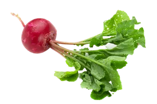 红萝卜超市商品白底图免抠实物摄影png格式图片透明底