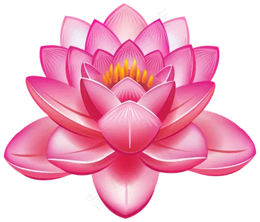 荷花素材 免抠 荷花 复古 中国风 莲花 荷叶 