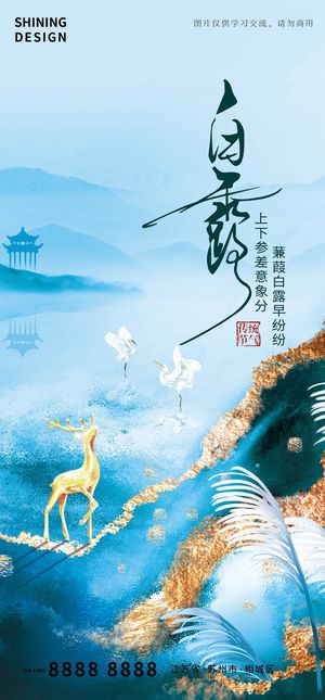 水中白鹭白露节气海报