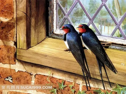 精美手绘燕子插画艺术