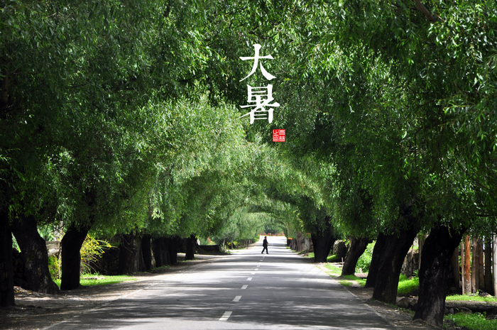 二十四节气大暑高清背景