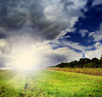 高清草地风景图片下载