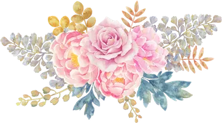 粉玫瑰花朵卡通春季谷雨素材