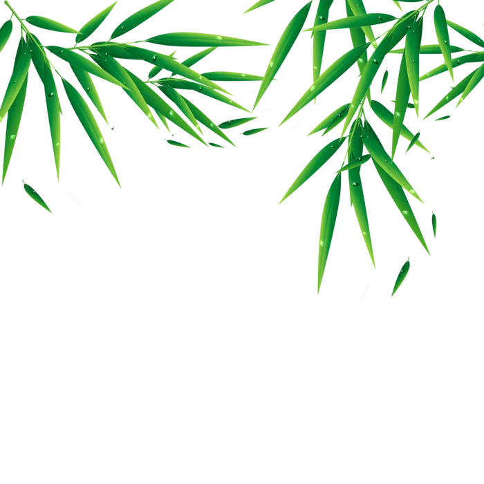 端午节万年青竹叶免扣元素psd模版下载