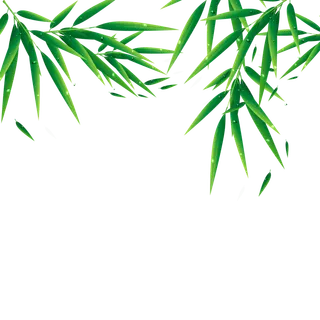 端午节万年青竹叶免扣元素