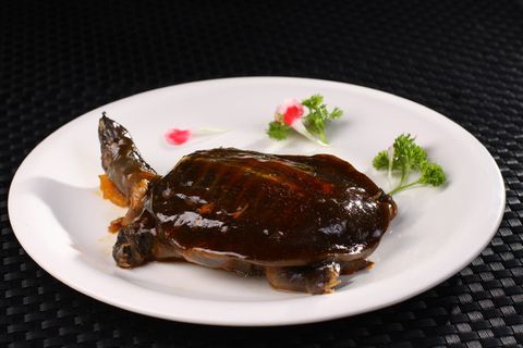 卤水甲鱼仔 (12)