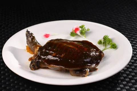 卤水甲鱼仔 (12)