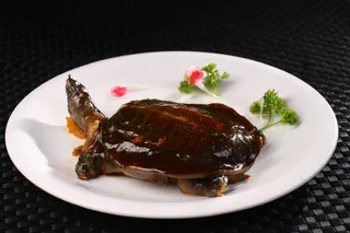 卤水甲鱼仔 (12)