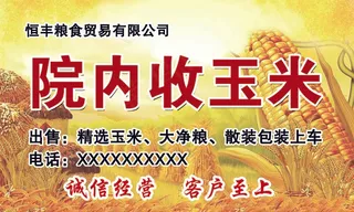 收玉米精选玉米大净粮散装包装上车